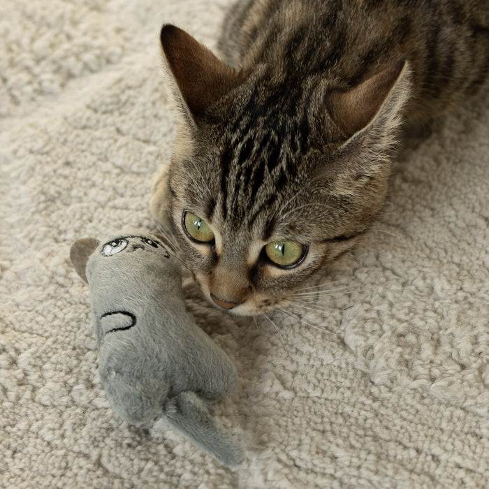 Peluche Interactive « Amusement Durable »
