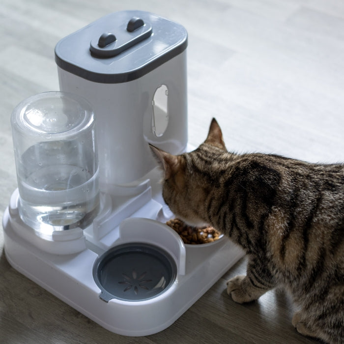 Mangeoire Automatique « Sérénité Plus » avec Fontaine à Eau