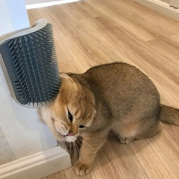 Brosse d’Angle Relax « Zénitude Féline »