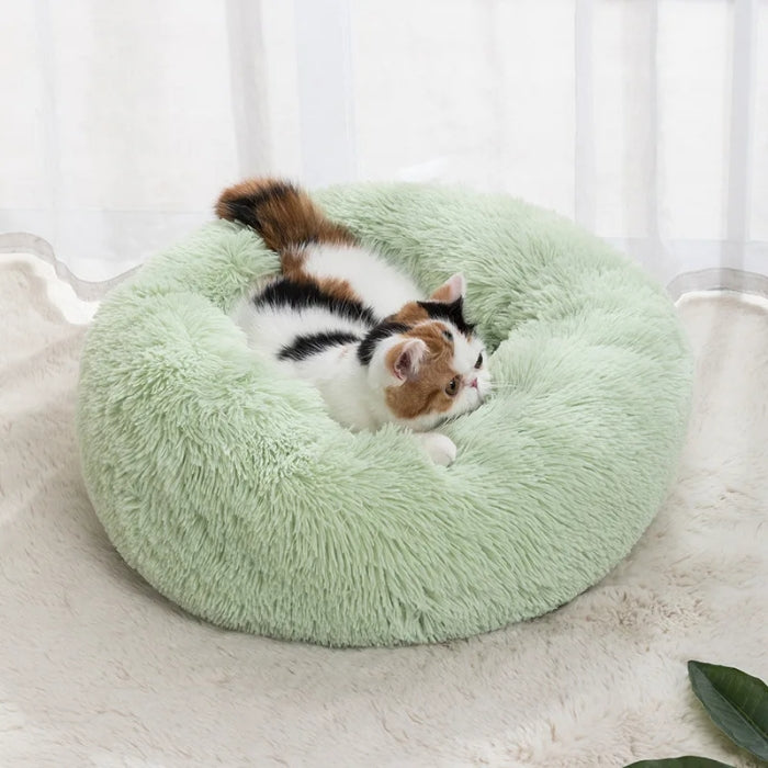 Lit Circulaire « Macaron Confort »