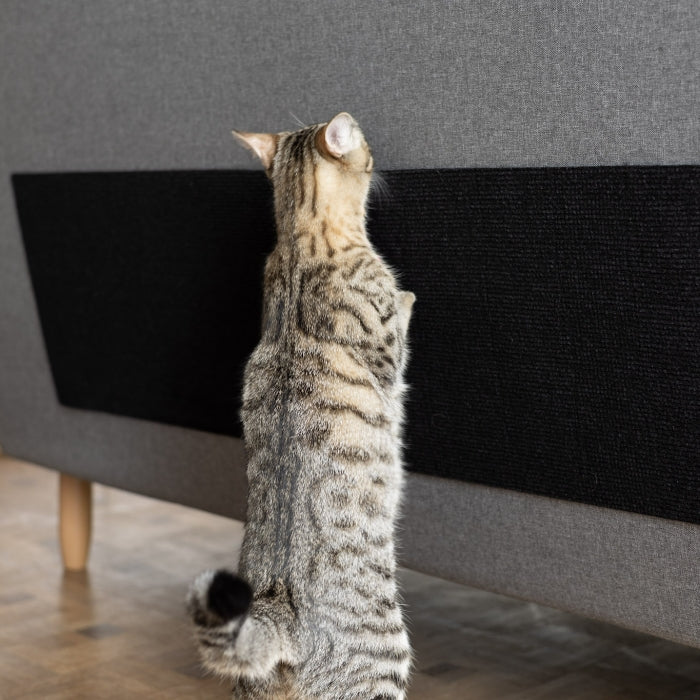 Tapis Auto-Adhésif « Griffes Protégées »