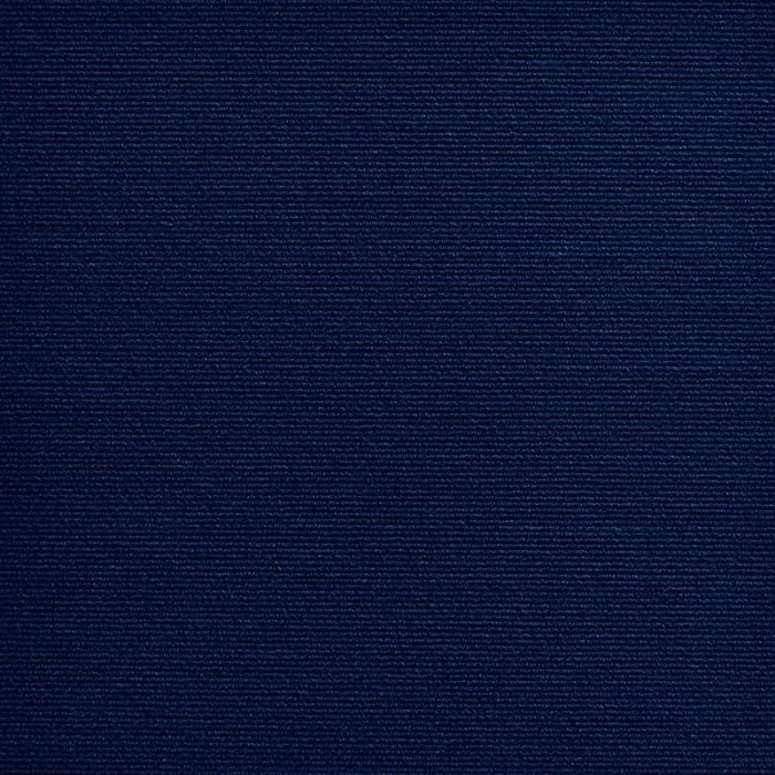 Tapis Auto-Adhésif « Griffes Protégées »