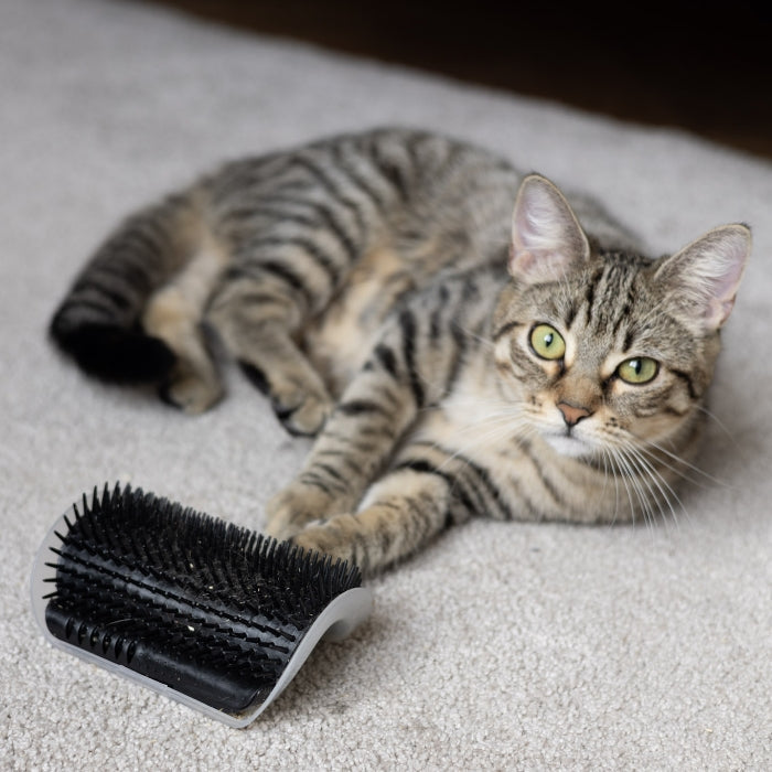 Brosse d’Angle Relax « Zénitude Féline »