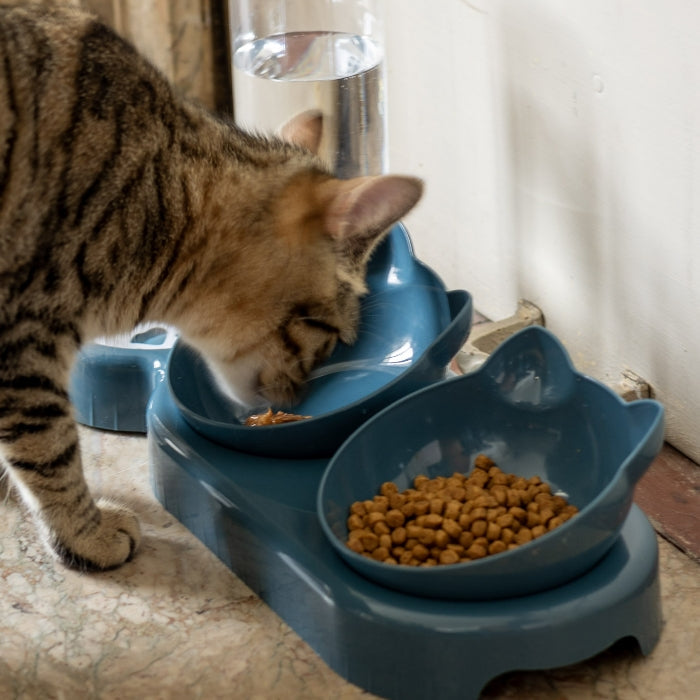 Bol Double « Bien-Être Confort » pour Chat