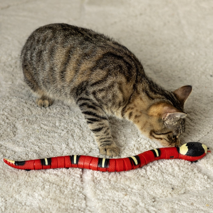 Jouet Intelligent « Serpent Captivant »